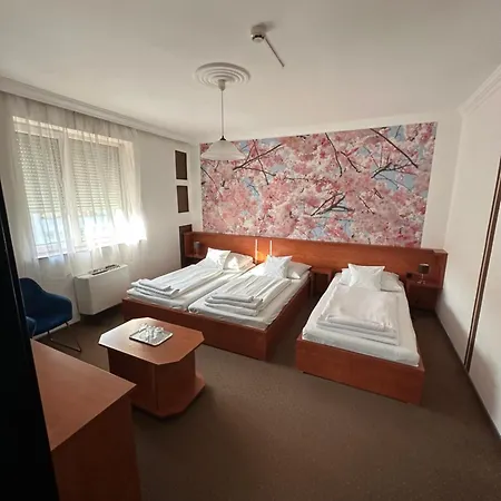 Hotel Europa és étterem