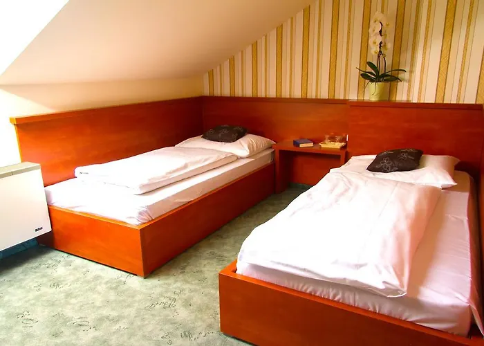 Europa és étterem 3* Nyíregyháza